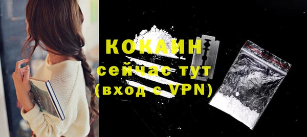 индика Абинск