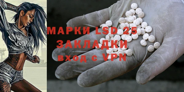 индика Абинск