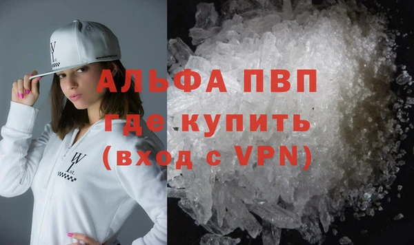индика Абинск