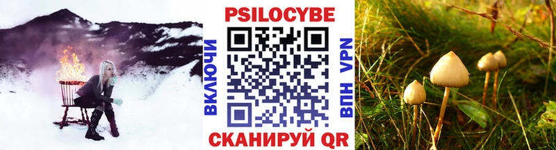 Псилоцибиновые грибы MAGIC MUSHROOMS Усмань
