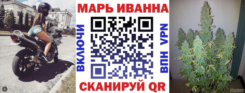 наркотики  Усмань  Конопля сатива 